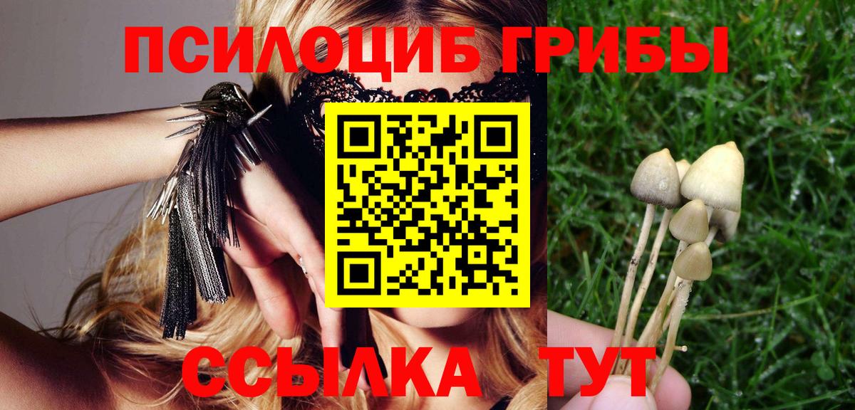 Псилоцибиновые грибы Cubensis  Вход с VPN  Бердск  купить наркотик  Галлюциногенные грибы Psilocybine cubensis 