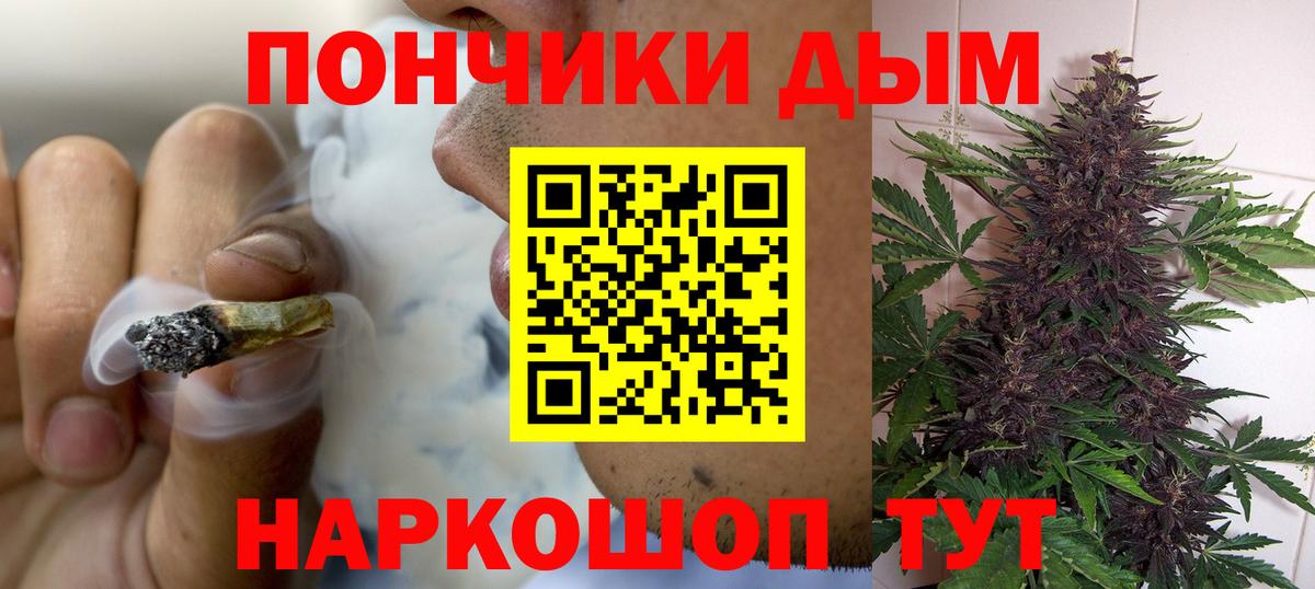 Конопля индика  МАРИХУАНА White Widow  Вход с VPN  Бердск  МАРИХУАНА ГИДРОПОН 